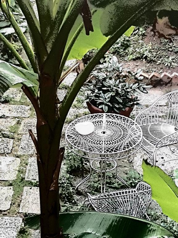 Appartamento Garden Ca' Rezzonico Venedik Dış mekan fotoğraf